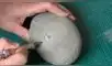 Desliza las imágenes para ver el increíble hallazgo que hizo un paleontólogo en el interior de una extraña roca. Foto: Newsflare