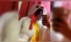 Facebook viral: joven se gradúa junto a su gallo a quien rescató cuando era un pollito pintado [FOTOS]
