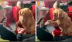 Facebook viral: perro conoce a la pequeña mascota de su dueña y tiene emotiva reacción [VIDEO]