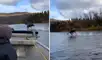 Alce salvaje sorprende a turistas que navegaban por un río y corre delante de ellos [VIDEO]