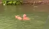 Entra a un río para rescatar a un exhausto ciervo y dramática escena se vuelve viral