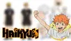 Haikyuu