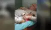Facebook viral: Deja a su perro al cuidado de su abuelo y capta tierna escena