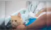 Facebook viral: nietos esconden a gato para que vea por última vez a su abuelo en el hospital [VIDEO]