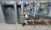 Perro ‘ayuda’ a bebé poniéndose como ‘banquito’ para que alcance el refrigerador [VIDEO]