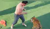 Tigre y cuidador de leones.