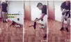 El joven y los mininos bailan al ritmo de música electrónica. Foto: captura de TikTok/@kevinkevox