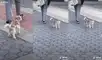 El abuelito jala de la correa a su pequeño perrito. Foto: captura de TikTok