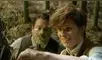 Newt Scamander es el autor del famoso libro "Animales fantásticos y dónde encontrarlos". Foto: Warner Bros. Pictures