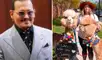 Las alpacas han sido adoptadas como símbolo de apoyo hacia Johnny Depp en medio de su juicio con Amber Heard. Foto: composición/ difusión