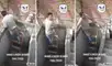 El video ha logrado más de 500.000 reproducciones en TikTok. Foto: composición LR/captura de TikTok/@onofreaguirre