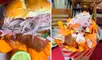 El chicharrón lo puedes consumir tanto en sandwich como en cono. Foto: composiciónLR/Captura de Tiktok/Sencillopaviajar