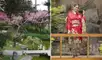 El jardín japonés está ubicado en Jesús María.
