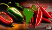 Ajíes picantes | México | Perú