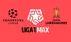 L1MAX