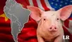 Carne de cerdo en el mundo, Sudamérica, Brasil, Argentina, México, Perú, Estados Unidos, China