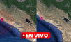 Sismo en Arequipa provoca alarma de tsunami. Foto: composición LR