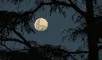 Calendario lunar julio 2024: cuándo ver la luna llena y las otras fases del satélite natural de la Tierra