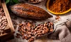 origen del cacao, Ecuador, América Latina, Amazonas, Sudamérica