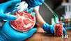 El 'boom' de la carne artificial: ¿cómo la manipulación genética nos ofrecerá alimentarnos con sintéticos?