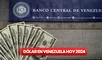 ¿Cómo quedó el dólar en Venezuela tras las elecciones 2024, según BCV y DolarToday?