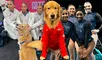 Conoce a Beacon, el perro Golden Retriever viral, que acompaña a Simone Biles y USA en los JJ. OO. París 2024