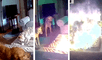 Perro muerde batería de litio, causa explosión y genera incendio: accidente fue captado en VIDEO