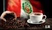 El enorme país que lidera la exportación de café peruano en todo el mundo al comprar más de US$36 millones en 2024