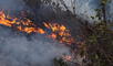 Incendios arrasan miles de hectáreas de bosques y cultivos