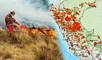 Incendios Forestales en Perú 2024 EN VIVO, Hoy: aumenta a 16 los fallecidos y gremios exigen declarar emergencia