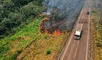 Incendio forestal en Madre de Dios arrasa 30 hectáreas y avanza hacia Cusco dejando animales silvestres muertos