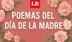 lr.pe