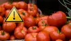 Los tomates conteminados con salmonela fueron calificados con la mayor advertencia en Estados Unidos por el alto riesgo a la salud pública.