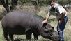 Marius Els murió tras ser atacado por su hipopótamo Humphrey en 2011.