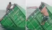 contenedores caidos en callao, pescador se sube a contenedor en mar, video viral