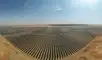 Los paneles solares generan sombras que provocan un impacto positivo en el ecosistema.