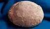 En China descubren un misterio prehistórico escondido dentro de huevos fosilizados.