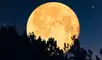 La luna llena de enero es conocida como Luna de lobo. Foto: IStock