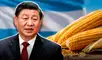 Un país de Sudamérica marca un hito histórico mediante el primer embarque de maíz hacia China tras superar diez años de barreras fitosanitarias.