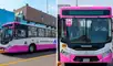 La flota del Corredor Rosado está compuesta por 30 buses impulsados por GNV.