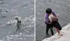 Perritos