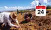 ¿Este 24 de junio es feriado a nivel nacional por el Día del Campesino? Revisa las fechas oficiales publicadas en El Peruano