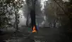 incendios forestales golpean España, Francia, Portugal, Europa