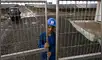 Cuba abre al sector privado, Gobierno de Cuba