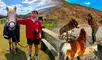 Nueva Zelanda lanza una convocatoria de voluntariado en Kind Farm, que ofrece hospedaje gratuito para quienes apoyen el cuidado de animales rescatados en la Isla Sur.