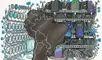 ¿Qué son los ‘bots’?, América Latina, Fernando Cerimedo