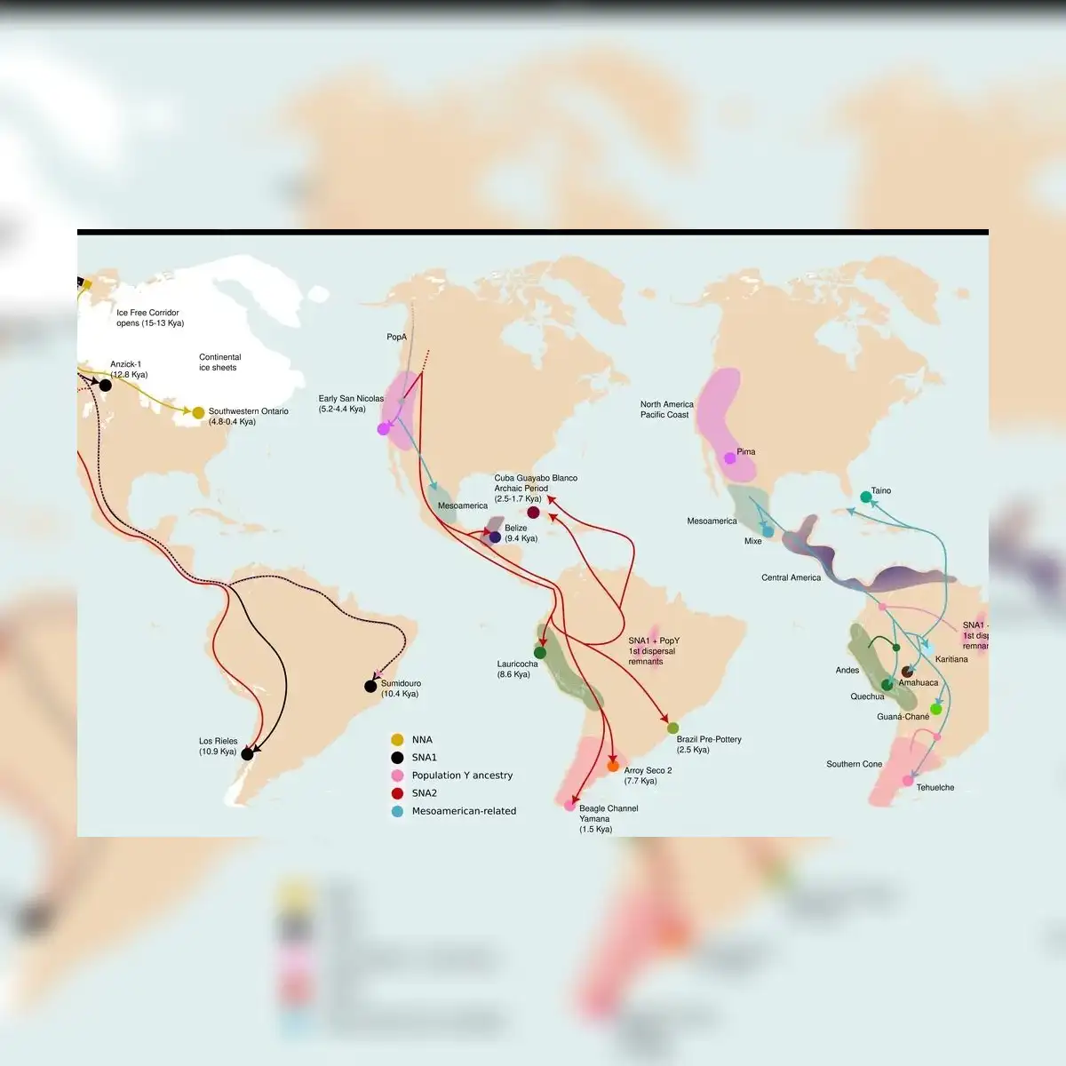La investigación identificó una migración clave que ocurrió hace al menos 1.300 años, un evento clave para la configuración biológica de América. Foto: Smithsonian Magazine