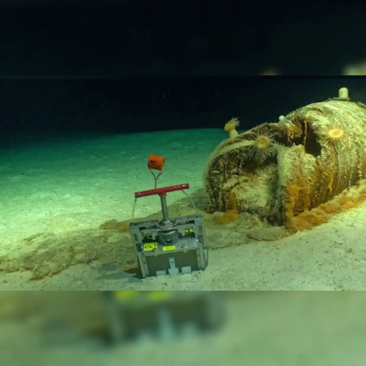 Uno de los bidones de residuos radiactivos muestra una degradación significativa y un derrame de material en el lecho marino circundante. Foto: ENS