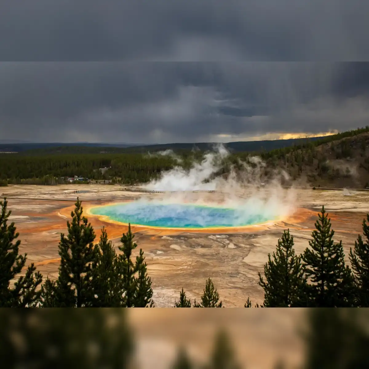 Los colores de la Gran Fuente Prismática, en el Parque Nacional de Yellowstone, son creados por microbios amantes del calor. Foto: Sociedad Geológica de EE. UU.
