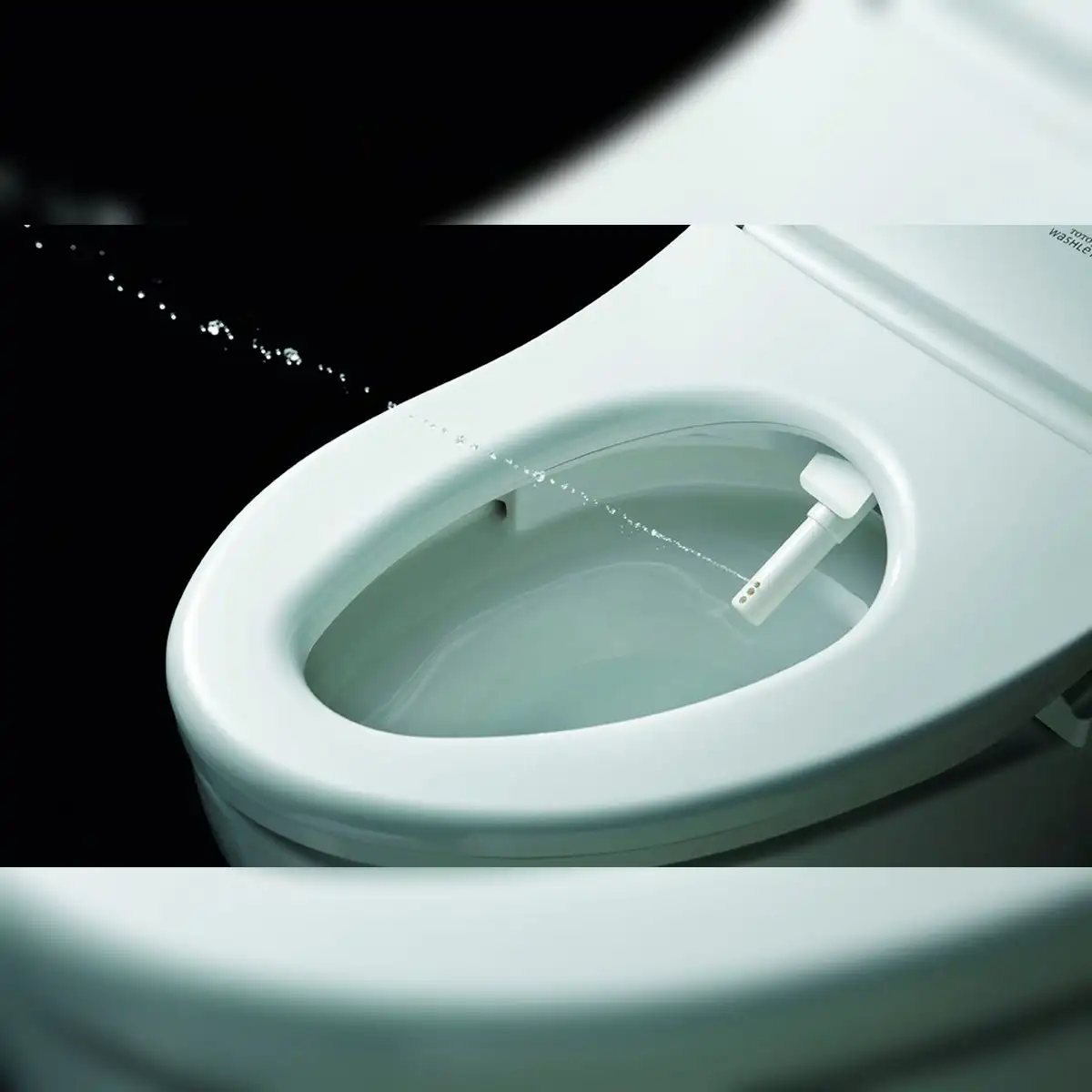 El Washlet japonés lanza un chorro con presión para el aseo del usuario. Foto: EITB